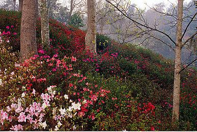 《死亡空间2：重制版》有可能被EA取消了 初代重制版销量并不好